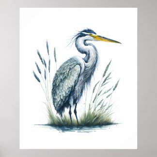 Poster Herão da Aquarela na Natureza