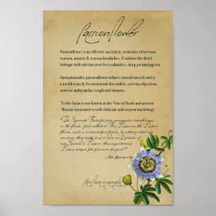 Poster Herbal Apothecary: Passionflower   Botanical Poste