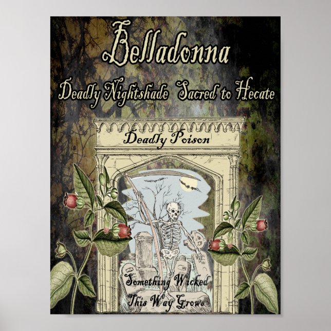POSTER HERBE DE BELLADONNA WITCH (Frente)