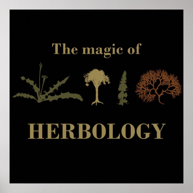 Poster herbologia (Frente)