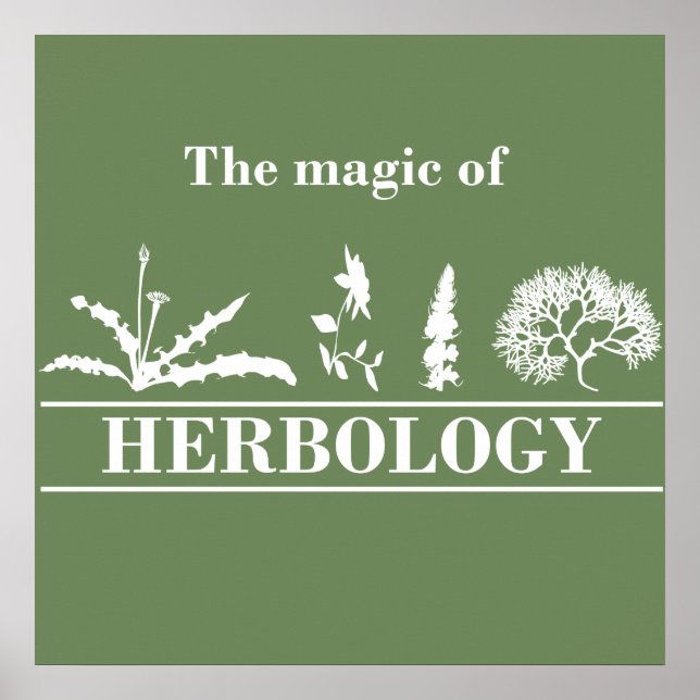 Poster herbologia (Frente)