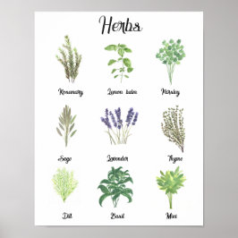 Poster Herbos Watercolor Sage Thyme Rosemary Kitchen