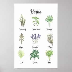 Poster Herbos Watercolor Sage Thyme Rosemary Kitchen