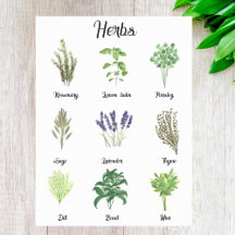 Herbos Watercolor Sage Thyme Rosemary Kitchen