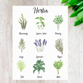 Poster Herbos Watercolor Sage Thyme Rosemary Kitchen