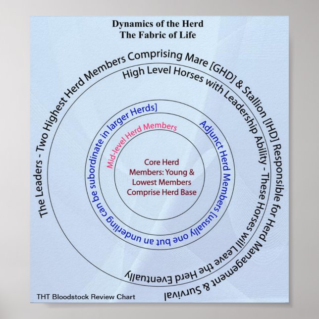 Póster Herd Dynamic Tecido da Vida (Frente)