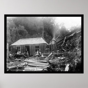 Póster Herdade do colono em Nova Zelândia 1906
