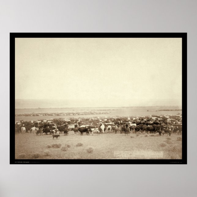 Poster Herding Cattle at Moss Agate SD 1887 (Frente)