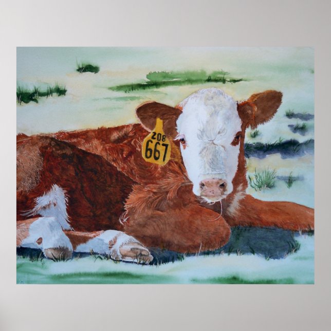 Poster Hereford Calf (Frente)