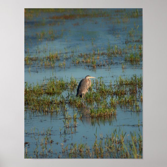 Poster Heron 6937 (Frente)