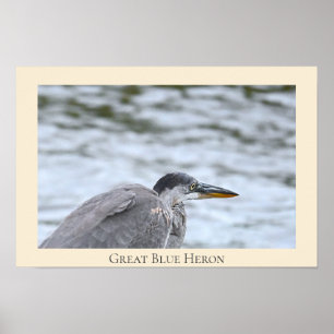 Poster Heron Azul excelente