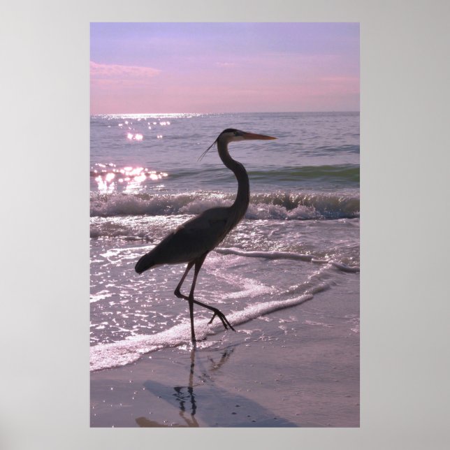 Poster Heron em um Stroll (Frente)