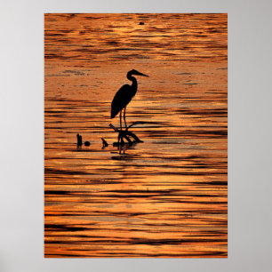 Póster Heron no Sunset