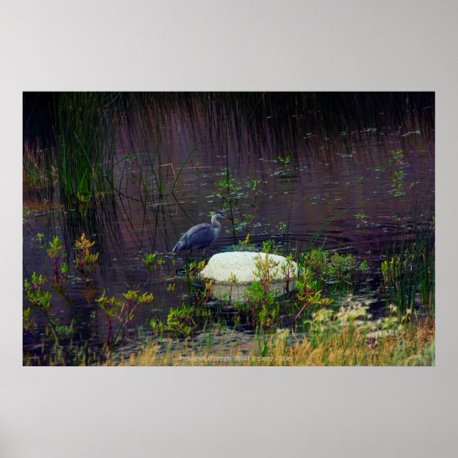 Poster Heron P6987 (Frente)