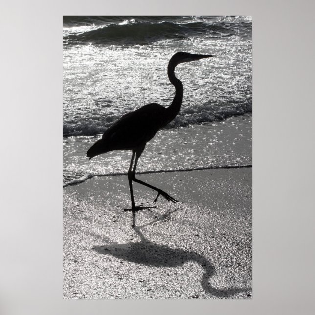 Póster Heron Walking on Shore (Frente)