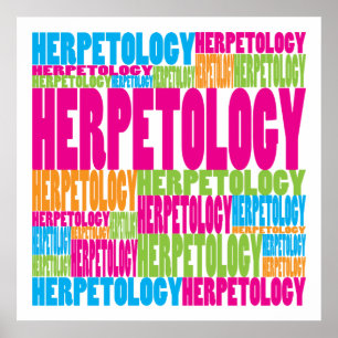 Poster Herpetology colorido
