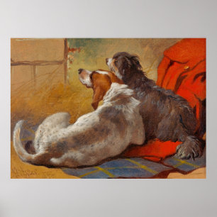 Poster Herring é um Cão e uma Colina