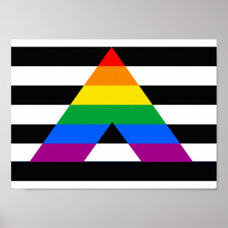 Póster Hetero Ally Pride