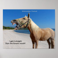 Hetero da boca do cavalo 16"x12"