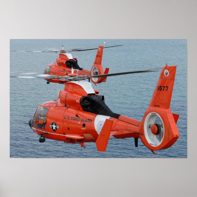 Poster HH-65 Golfinho (Frente)