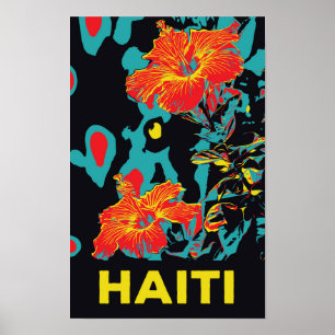 Poster hibisco típico do caribe no Haiti