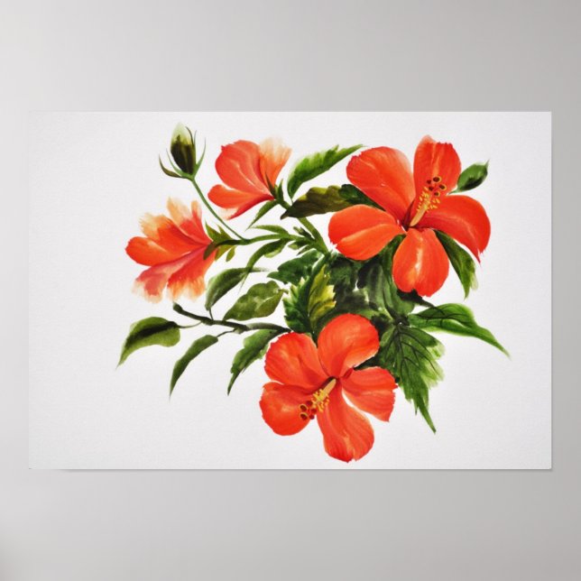 Póster Hibisco Vermelho Quente (Frente)