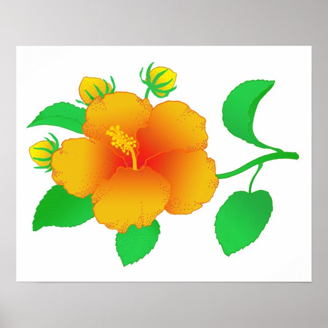 Poster Hibiscus (Frente)