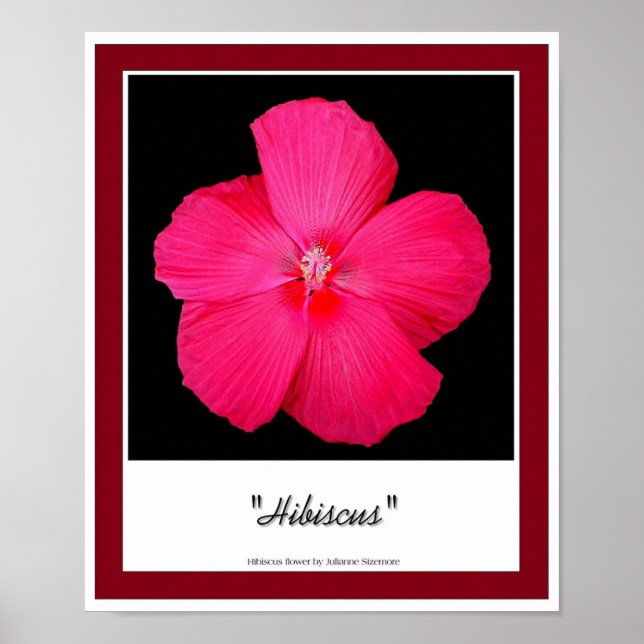Póster Hibiscus (Frente)