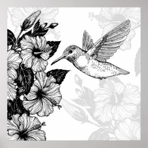 Poster Hibiscus e beija-flor