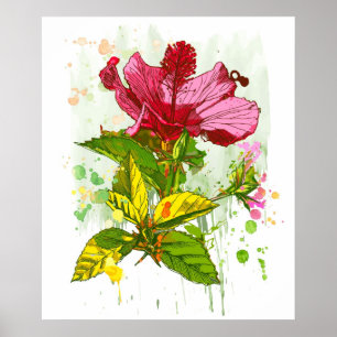 Poster Hibiscus flower - watercolor paint 2