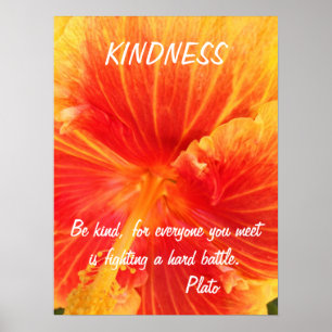 Póster Hibiscus inspirado de Plato das citações do post