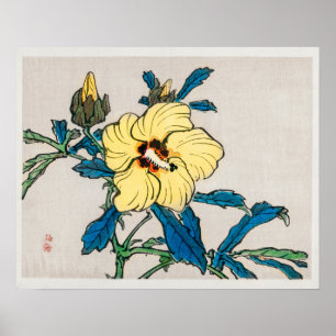 Poster Hibiscus por Kōno Bairei (1844-1895)