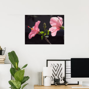 Póster Hibiscus rosa em preto