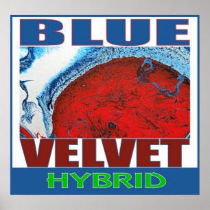 PÓSTER HÍBRIDO DE VELUDO AZUL