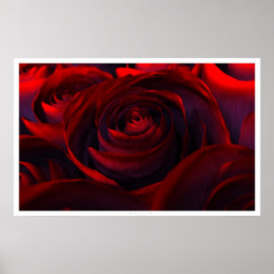 Poster Híbrido (largo)