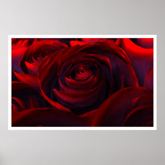 Poster Híbrido (largo) (Frente)