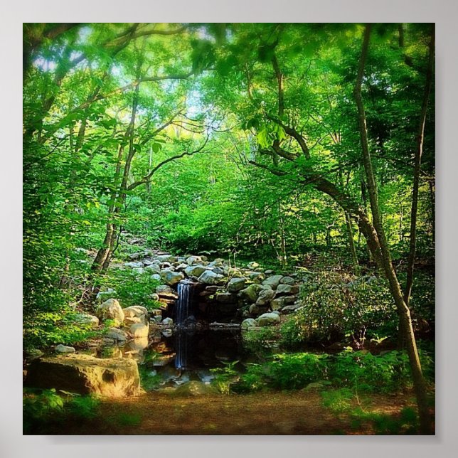 Poster Hidden Waterfall (Frente)