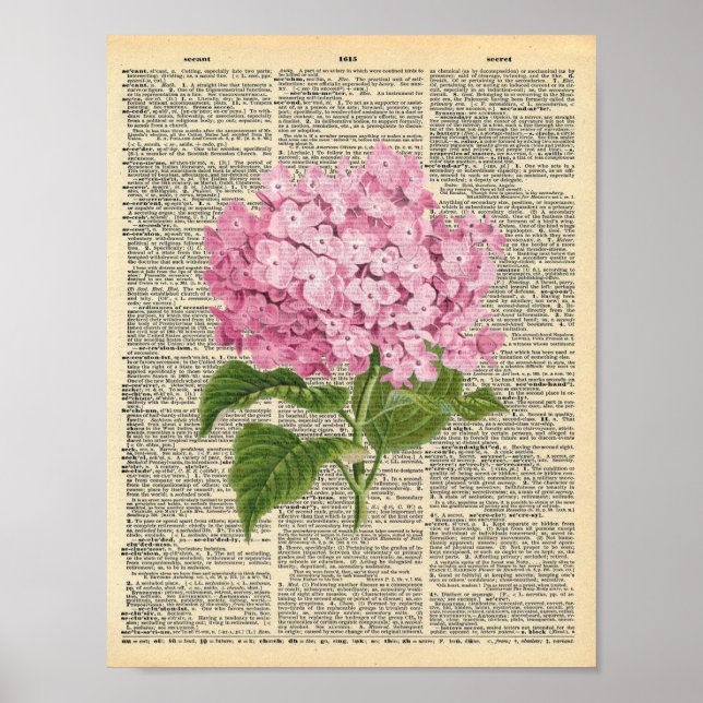Poster Hídranga rosa-vinda num dicionário vintage (Frente)