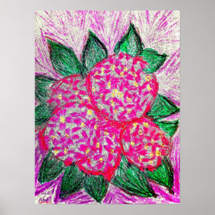 Poster Hidrangea macrophylla