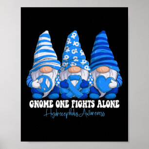 Poster Hidrocefalia Sensibilização Mês das Gnomas Azuis d