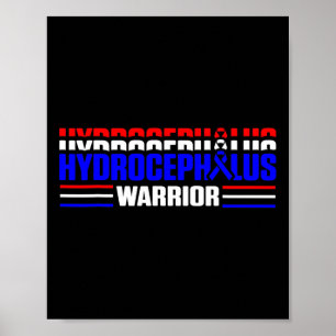 Poster Hidrocefalia Sobrevivente Combatendo Guerreiro 1