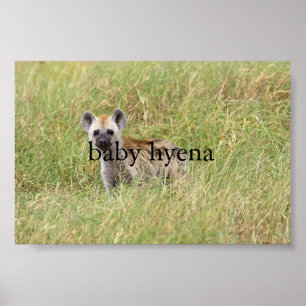 Póster hiena do bebê