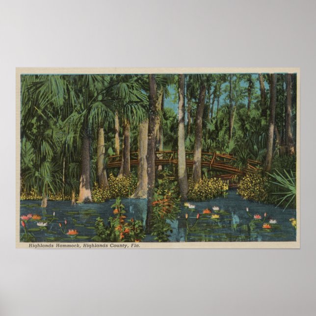 Poster Highlands County, FL - Vista das Highlands Hammock (Frente)