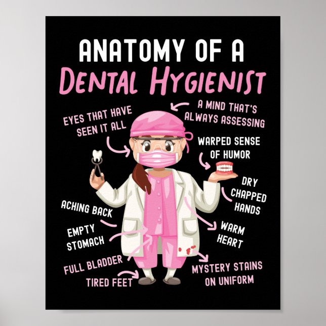 Poster Higienista Dental Anatomia Dental De Dental (Frente)
