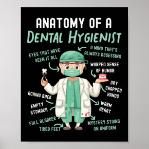 Poster Higienista Dental Anatomia Dental De Dental