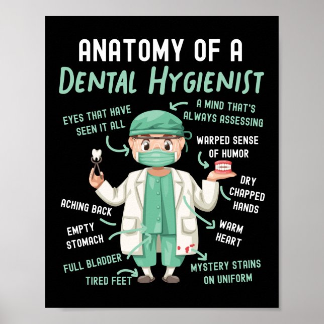 Poster Higienista Dental Anatomia Dental De Dental (Frente)
