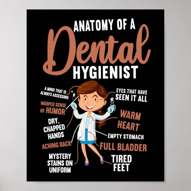 Poster Higienista Dental Anatomia Dental De Dental (Frente)