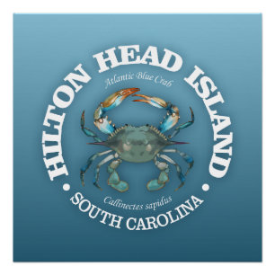 Póster Hilton Head (caranguejo azul)
