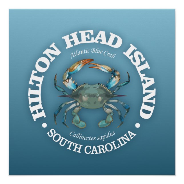 Póster Hilton Head (caranguejo azul) (Frente)