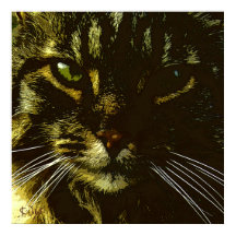Hipnotizando a Hipnose da Arte Digital do Gato